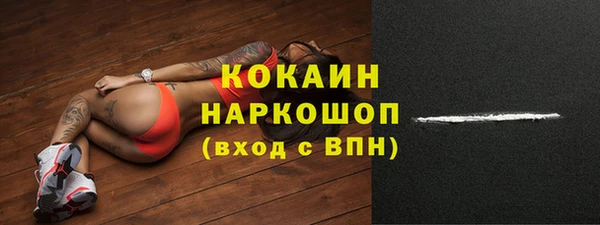 гидра Богородицк