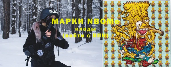 молекула духа Богданович