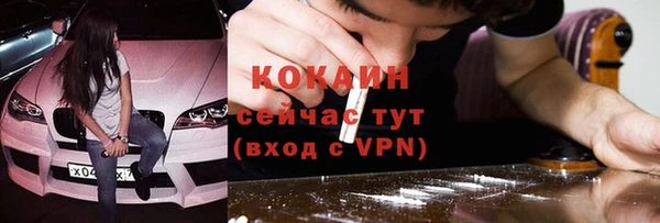 гидра Богородицк