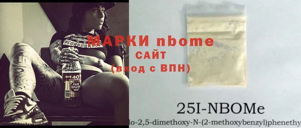 молекула духа Богданович