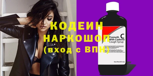 гидра Богородицк