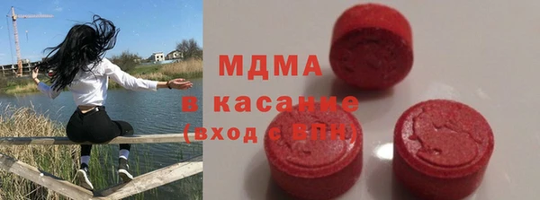 молекула духа Богданович
