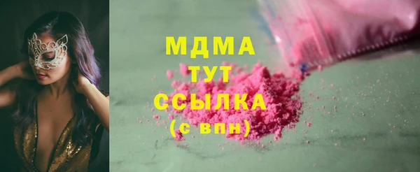 гидра Богородицк