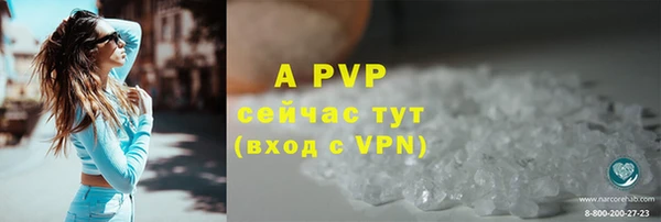 молекула духа Богданович