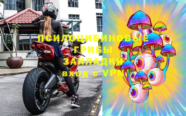 молекула духа Богданович