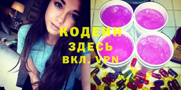 гидра Богородицк