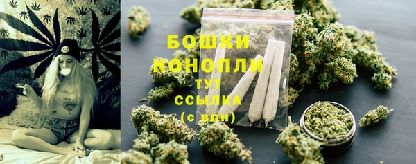 молекула духа Богданович