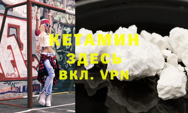 гидра Богородицк