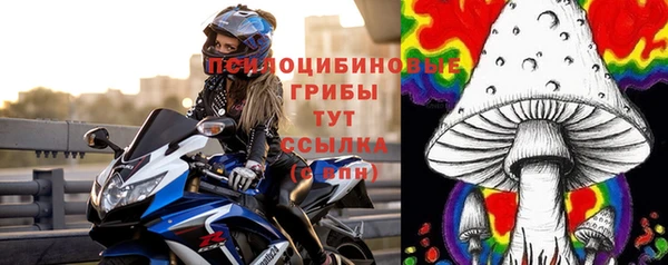 гидра Богородицк