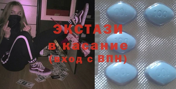 гидра Богородицк