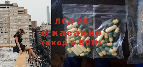 гидра Богородицк