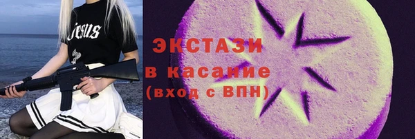 гидра Богородицк