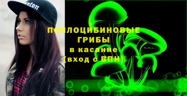 гидра Богородицк
