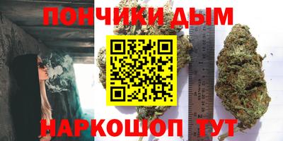 индика Волжский