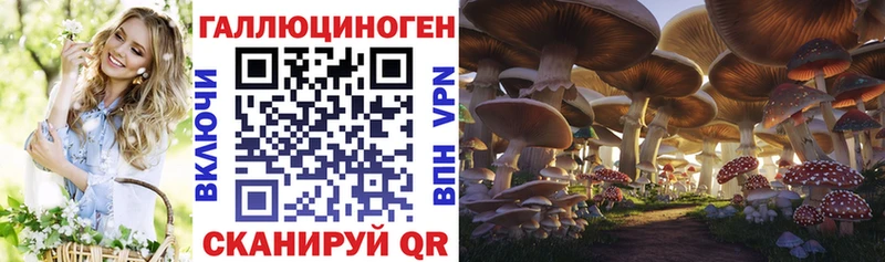 Галлюциногенные грибы GOLDEN TEACHER Гатчина