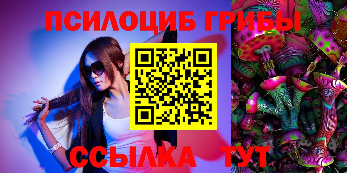 Псилоцибиновые грибы MAGIC MUSHROOMS  магазин продажи наркотиков  Гатчина  Вход с VPN 